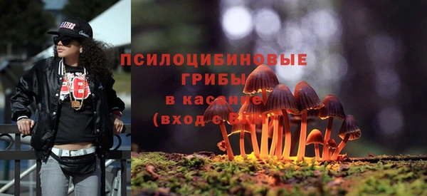молекула духа Беломорск