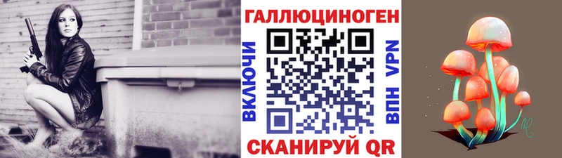 OMG   Куртамыш  Галлюциногенные грибы Cubensis 