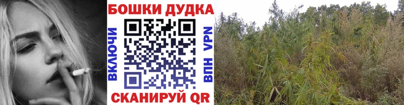 Конопля ГИДРОПОН  продажа наркотиков  mega сайт  Куртамыш 